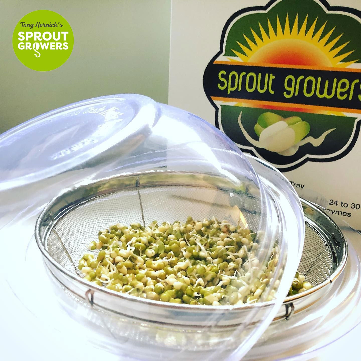 Sprout Grower