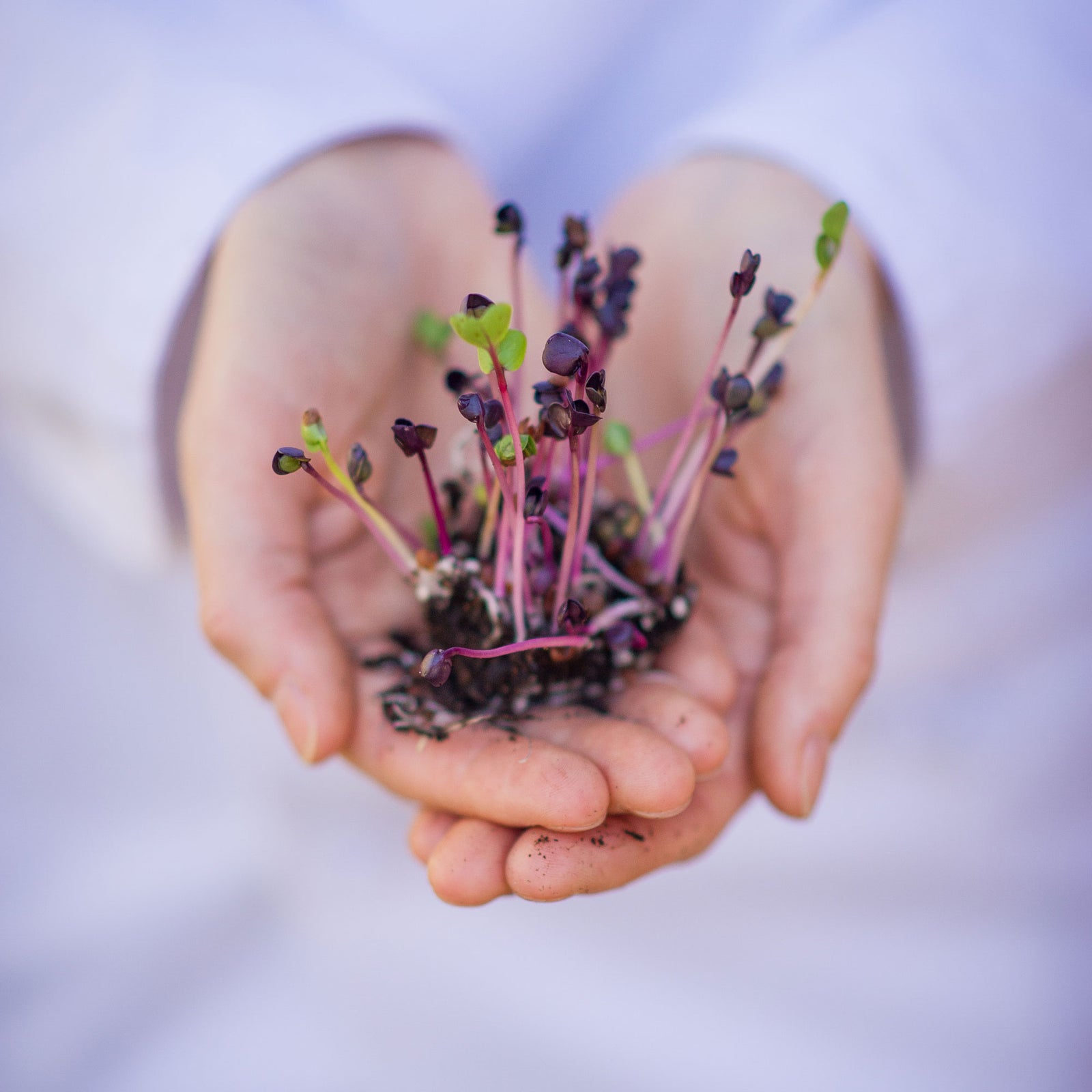 4-Season Northern Food Production 101