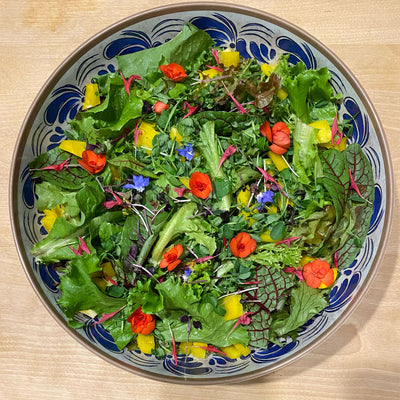 Edible Flowers