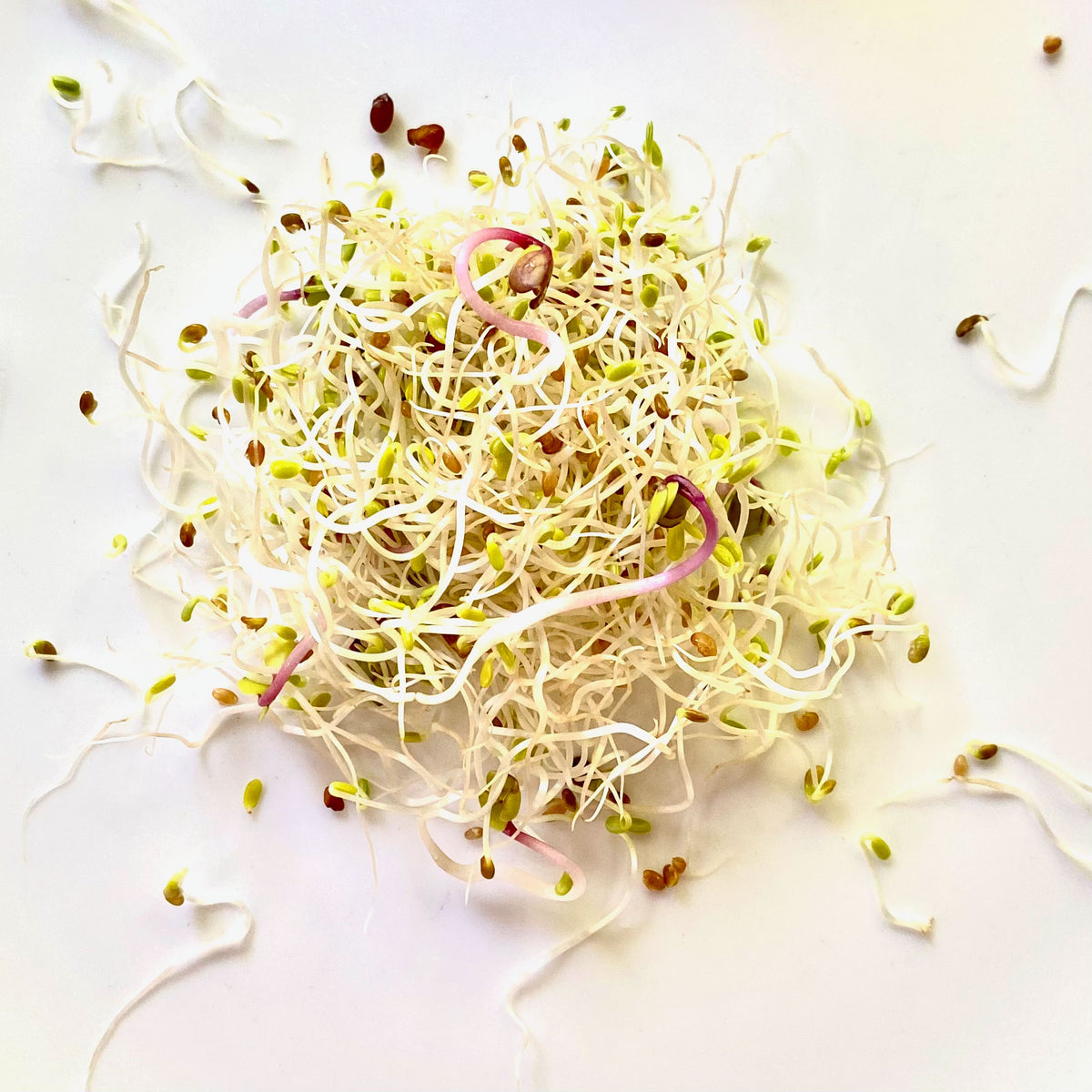 Vitality Blend