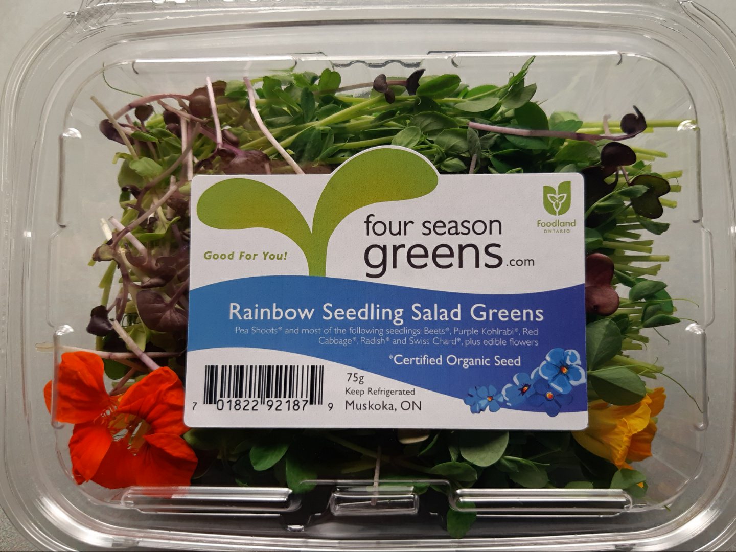 Rainbow Seedling Salad Greens