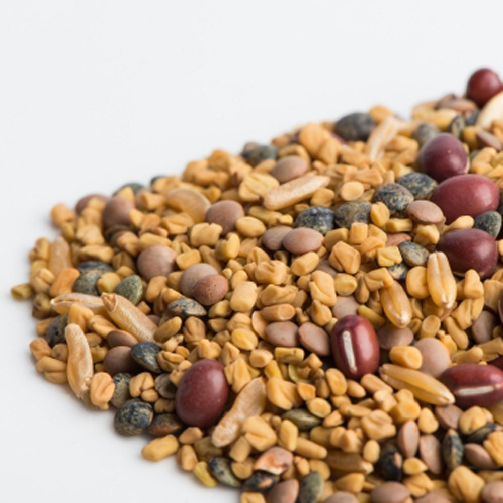Ancient Eastern Sprout Blend Seeds