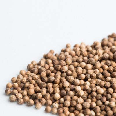 Coriander Micro-green Seeds