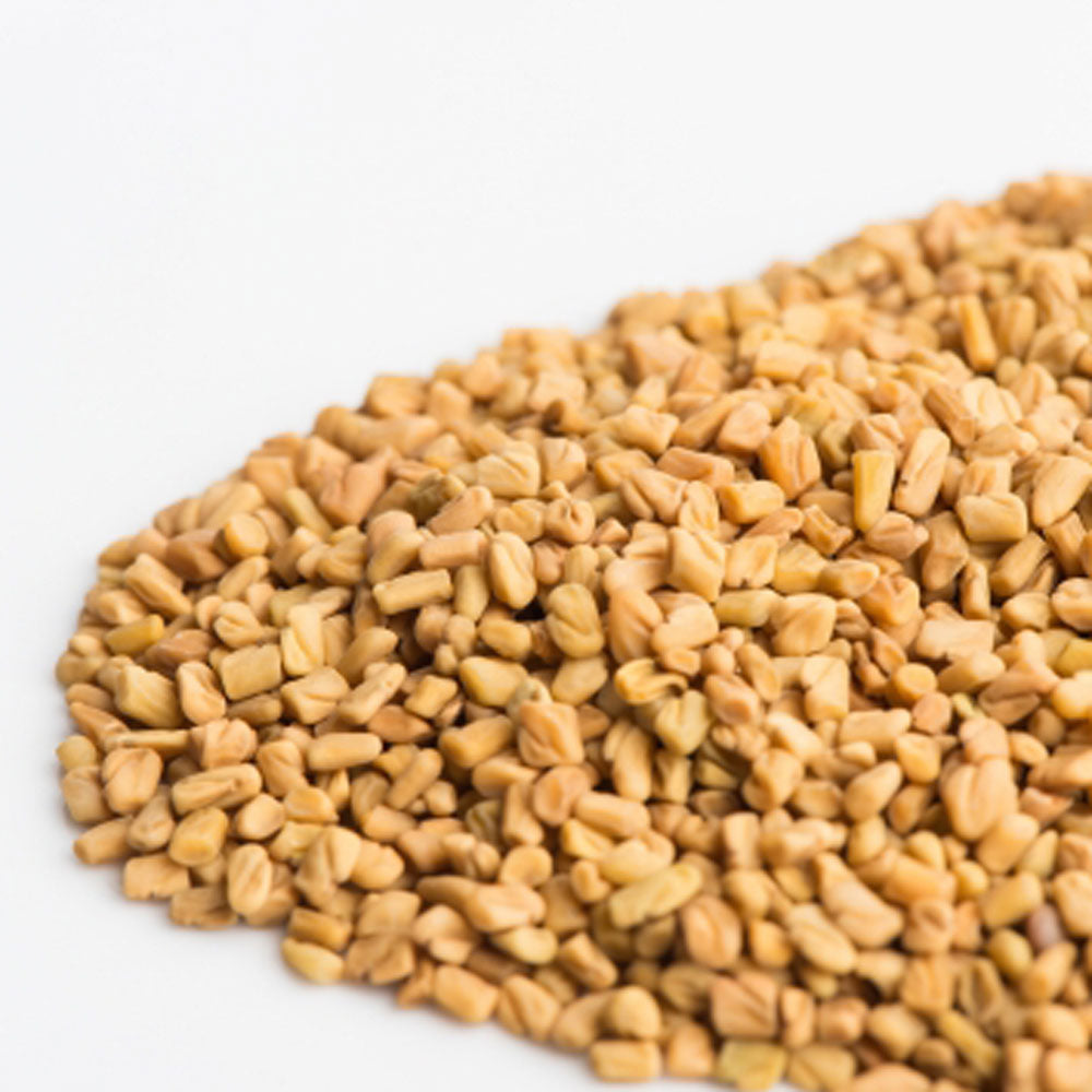 Fenugreek Sprout Seeds