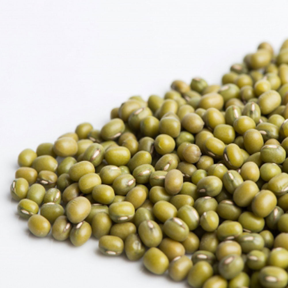 Mung Sprout Seeds