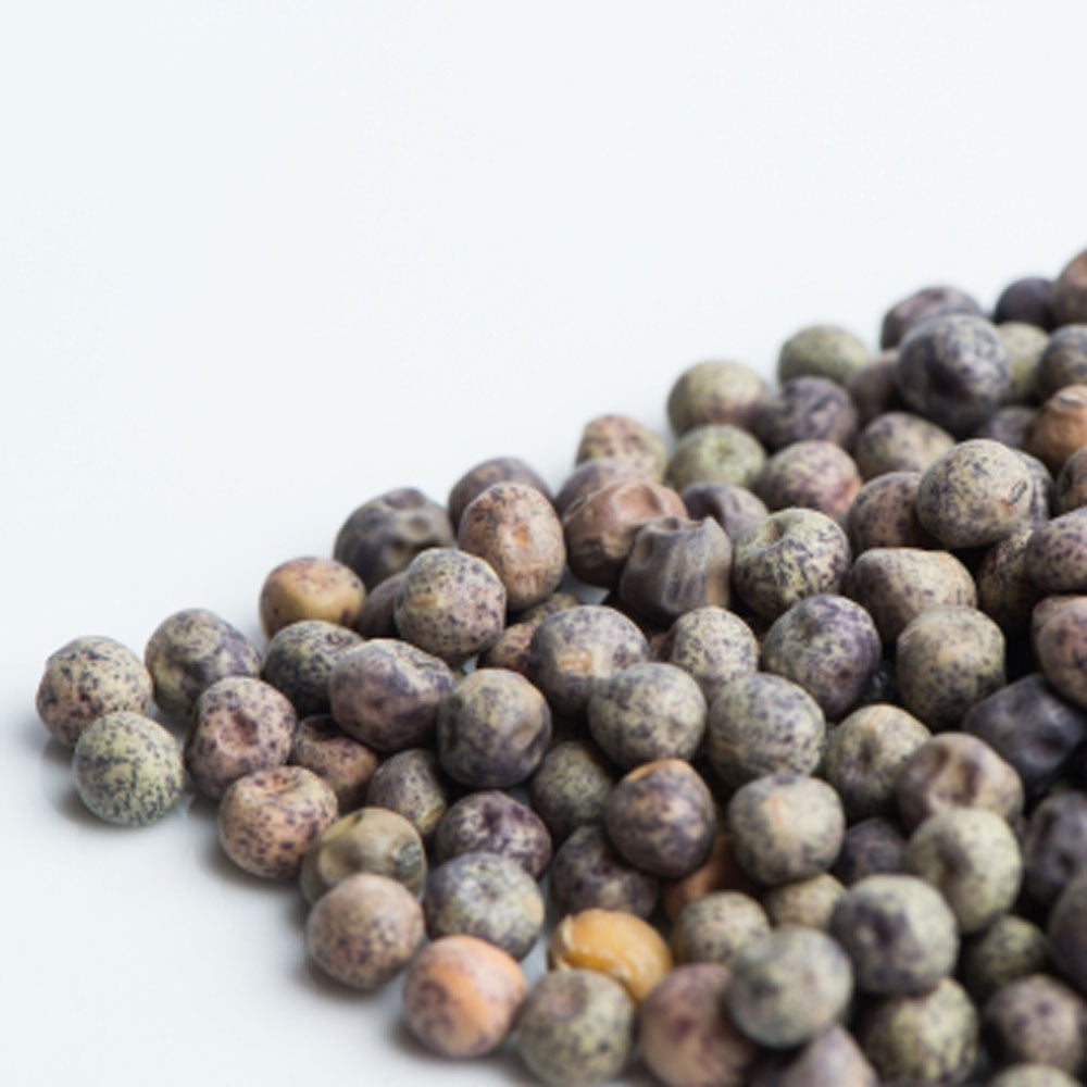 Speckled Pea Micro-green Seeds