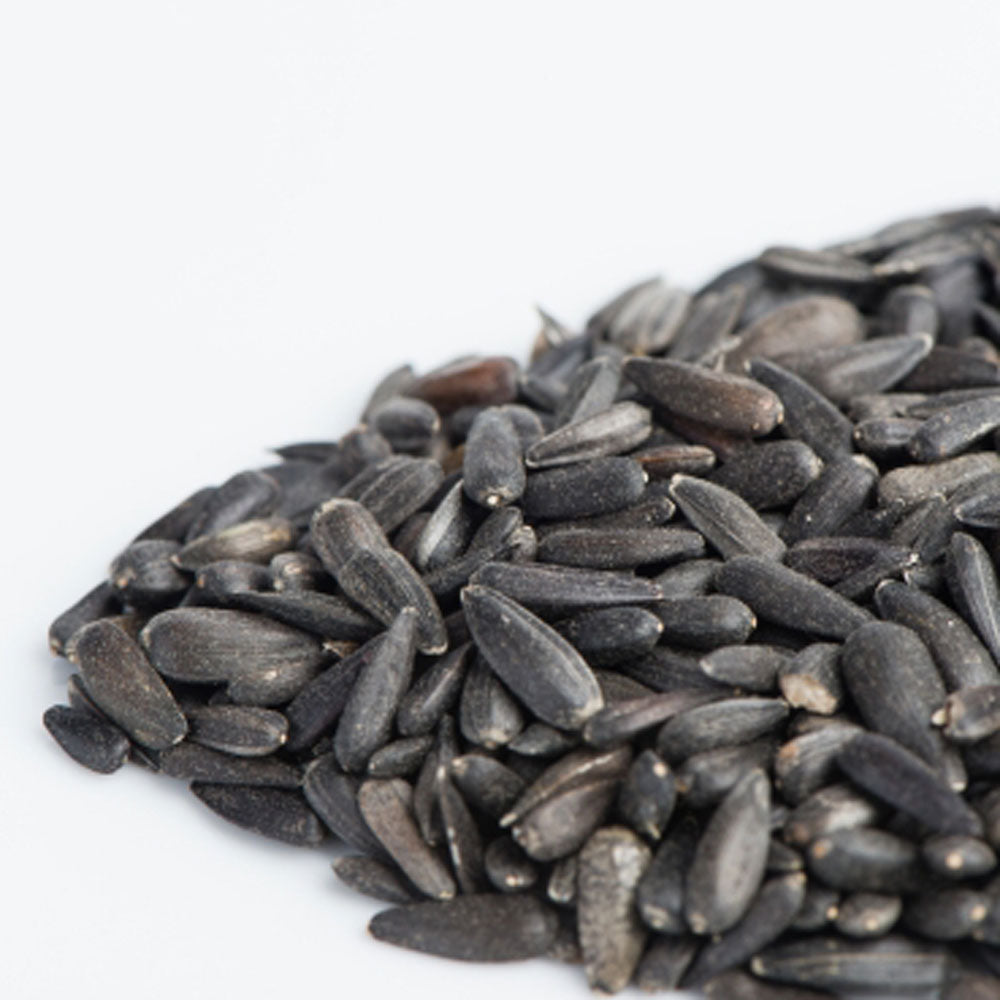 Sunflower Micro-green Seeds